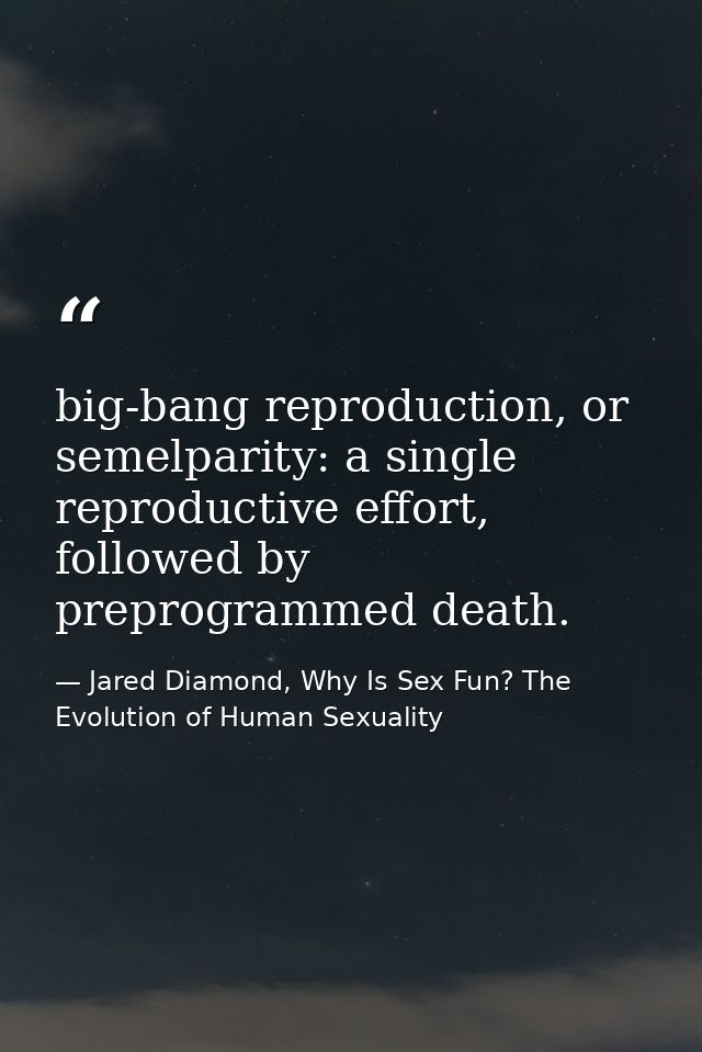 big-bang reproduction, or semelparity: a single reproductive effort, followed by preprogrammed death. — Jared Diamond, Why Is Sex Fun? The Evolution of Human Sexuality
