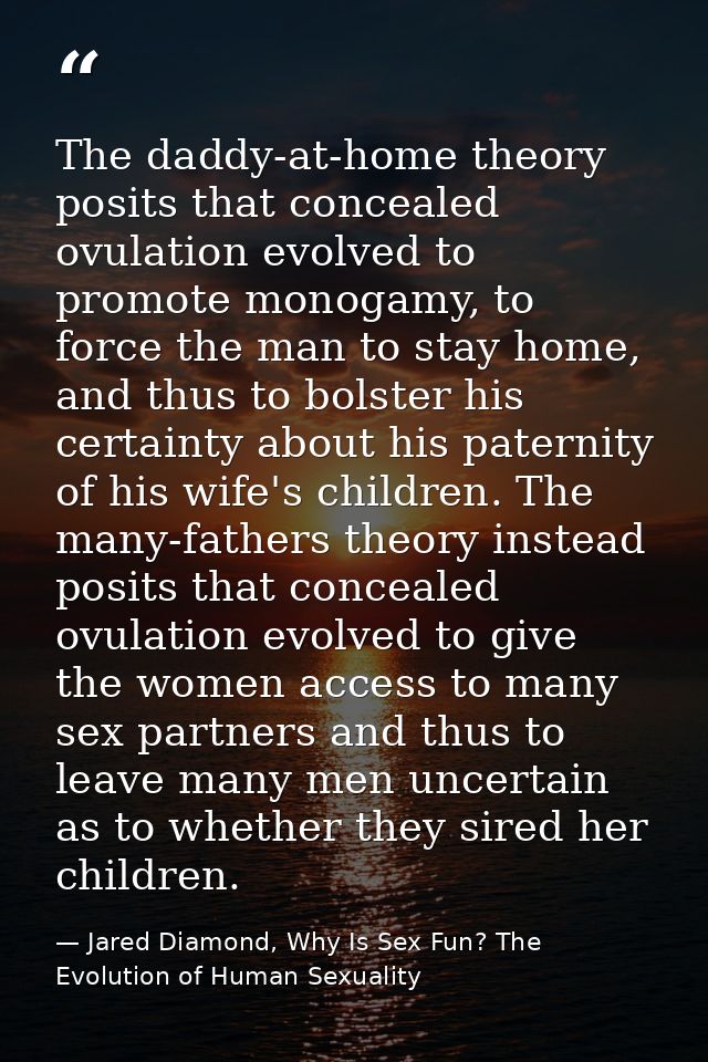 The daddy-at-home theory posits that concealed ovulation evolved to promote monogamy, to force the man to stay home, and — Jared Diamond, Why Is Sex Fun? The Evolution of Human Sexuality