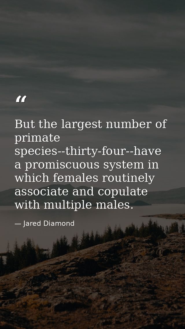 But the largest number of primate species--thirty-four--have a promiscuous system in which females routinely associate a — Jared Diamond