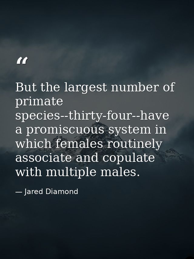 But the largest number of primate species--thirty-four--have a promiscuous system in which females routinely associate a — Jared Diamond
