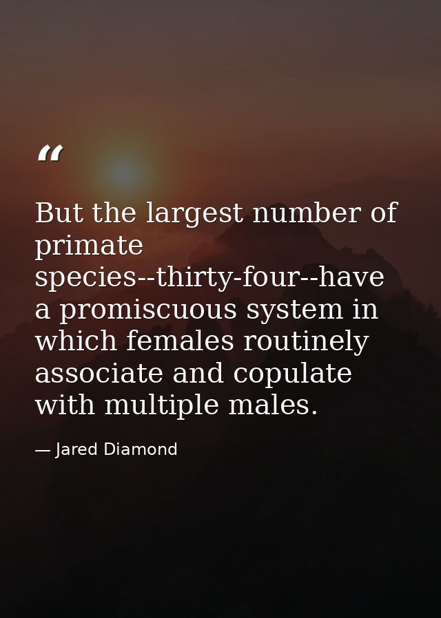 But the largest number of primate species--thirty-four--have a promiscuous system in which females routinely associate a — Jared Diamond