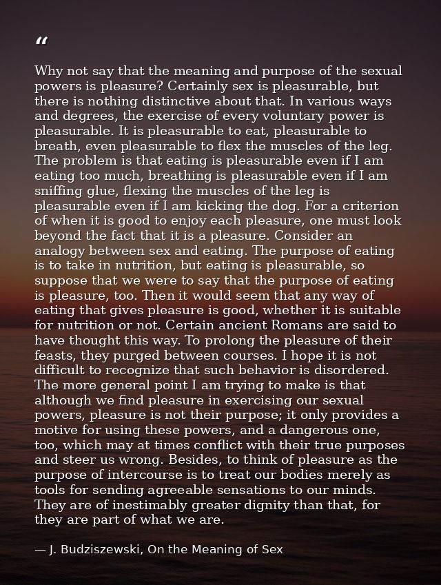 Why not say that the meaning and purpose of the sexual powers is pleasure? Certainly sex is pleasurable, but there is no — J. Budziszewski, On the Meaning of Sex