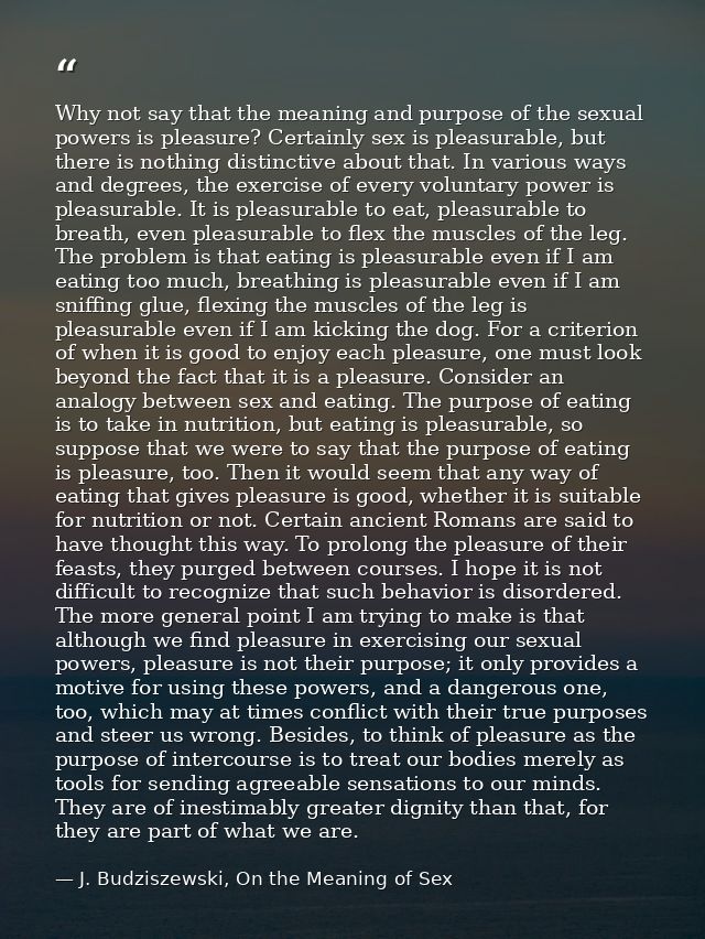 Why not say that the meaning and purpose of the sexual powers is pleasure? Certainly sex is pleasurable, but there is no — J. Budziszewski, On the Meaning of Sex