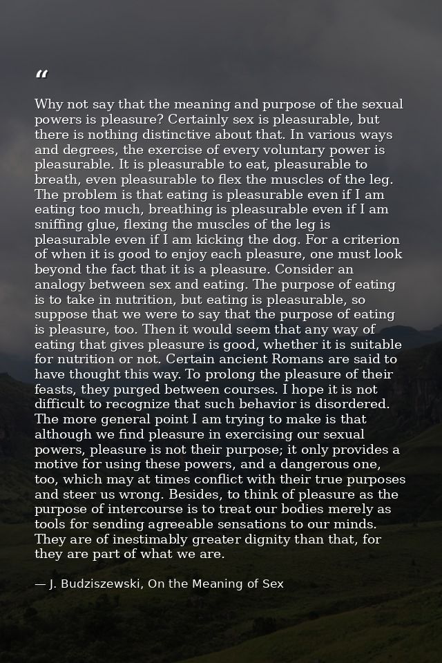 Why not say that the meaning and purpose of the sexual powers is pleasure? Certainly sex is pleasurable, but there is no — J. Budziszewski, On the Meaning of Sex