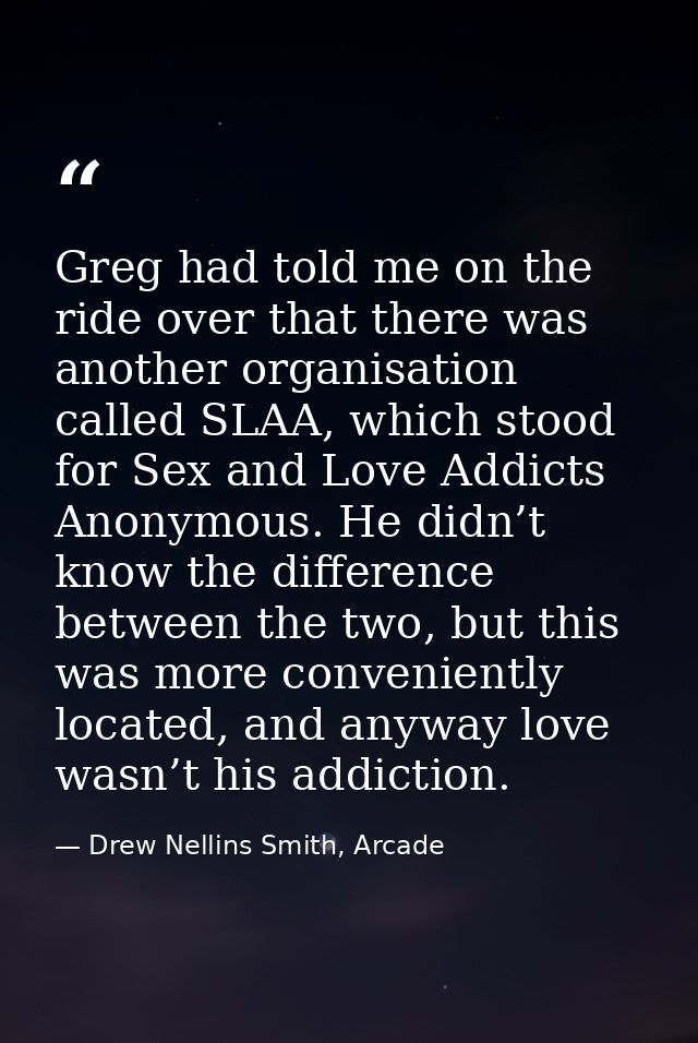 Greg had told me on the ride over that there was another organisation called SLAA, which stood for Sex and Love Addicts  — Drew Nellins Smith, Arcade