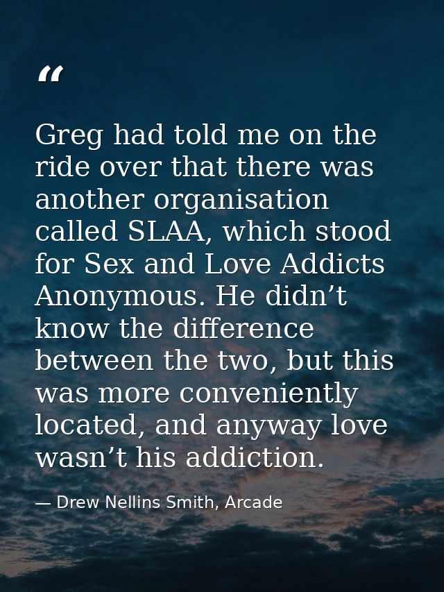 Greg had told me on the ride over that there was another organisation called SLAA, which stood for Sex and Love Addicts  — Drew Nellins Smith, Arcade