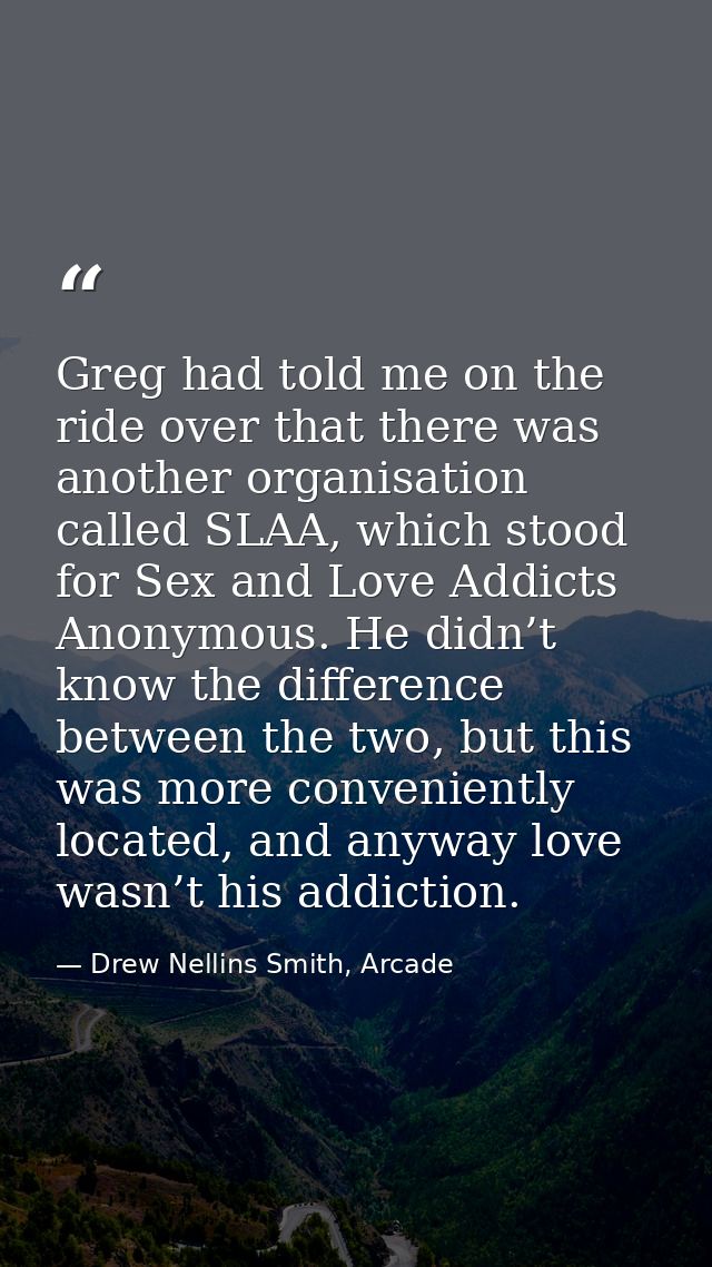 Greg had told me on the ride over that there was another organisation called SLAA, which stood for Sex and Love Addicts  — Drew Nellins Smith, Arcade
