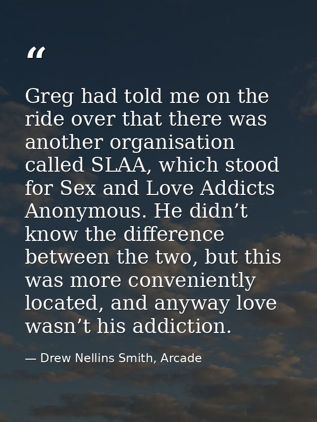 Greg had told me on the ride over that there was another organisation called SLAA, which stood for Sex and Love Addicts  — Drew Nellins Smith, Arcade