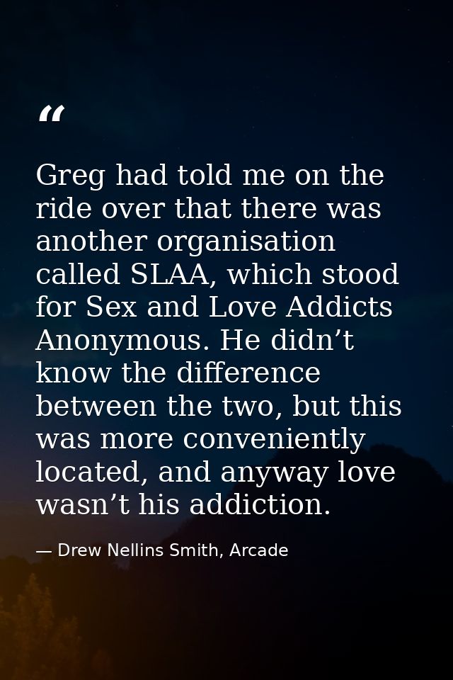 Greg had told me on the ride over that there was another organisation called SLAA, which stood for Sex and Love Addicts  — Drew Nellins Smith, Arcade