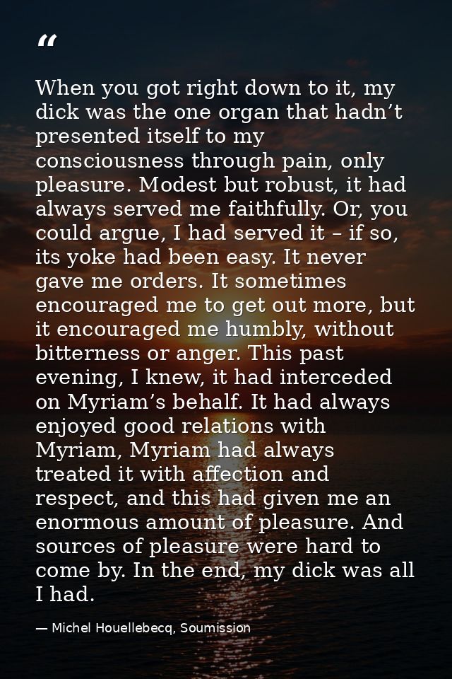 When you got right down to it, my dick was the one organ that hadn’t presented itself to my consciousness through pain,  — Michel Houellebecq, Soumission