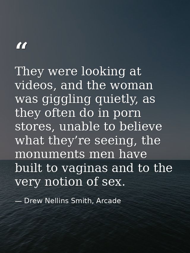 They were looking at videos, and the woman was giggling quietly, as they often do in porn stores, unable to believe what — Drew Nellins Smith, Arcade