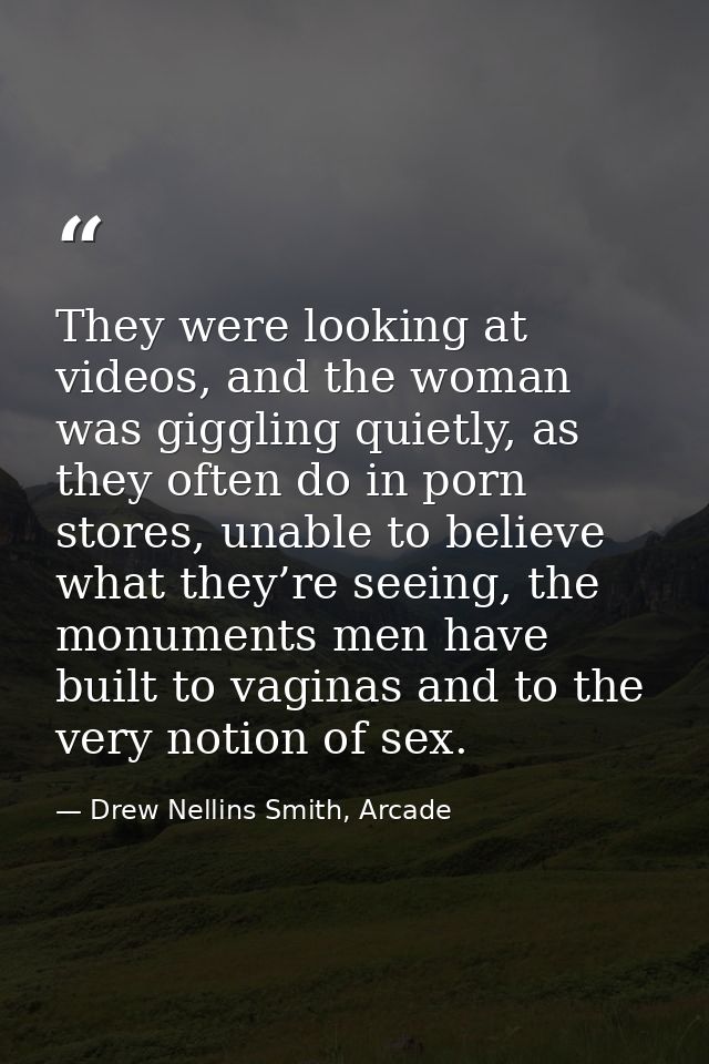 They were looking at videos, and the woman was giggling quietly, as they often do in porn stores, unable to believe what — Drew Nellins Smith, Arcade