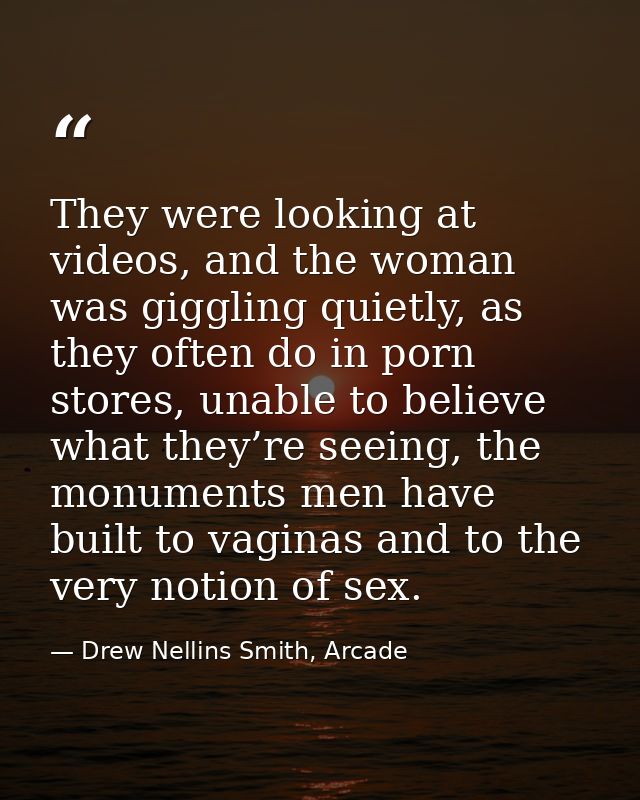 They were looking at videos, and the woman was giggling quietly, as they often do in porn stores, unable to believe what — Drew Nellins Smith, Arcade