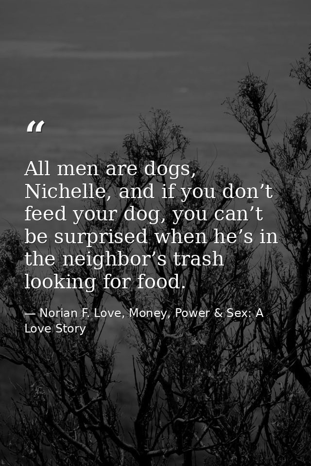All men are dogs, Nichelle, and if you don’t feed your dog, you can’t be surprised when he’s in the neighbor’s trash loo — Norian F. Love, Money, Power & Sex: A Love Story