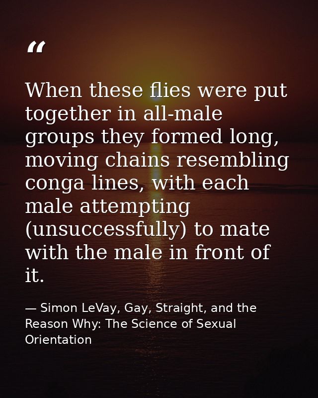 When these flies were put together in all-male groups they formed long, moving chains resembling conga lines, with each  — Simon LeVay, Gay, Straight, and the Reason Why: The Science of Sexual Orientation