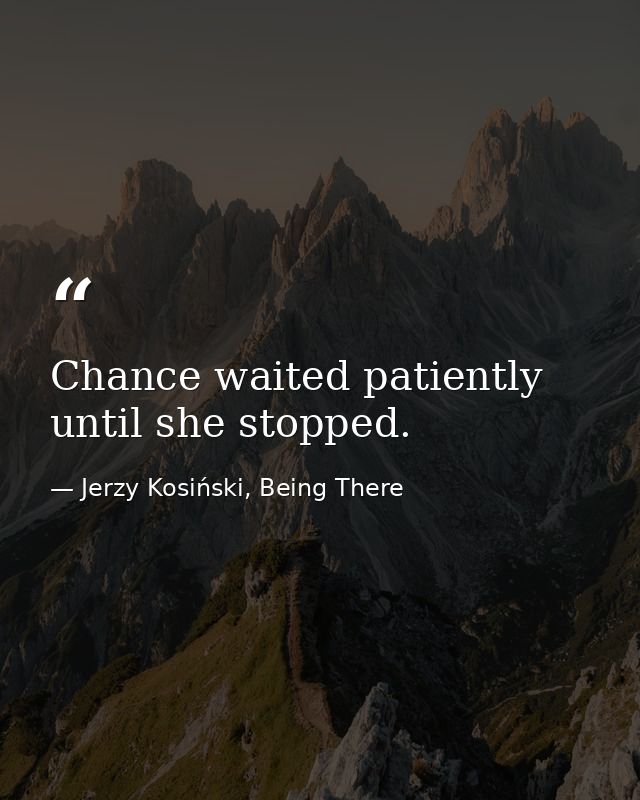 Chance waited patiently until she stopped. — Jerzy Kosiński, Being There