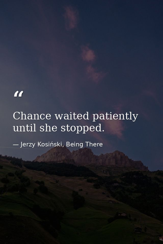 Chance waited patiently until she stopped. — Jerzy Kosiński, Being There