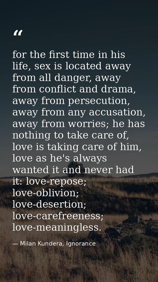 for the first time in his life, sex is located away from all danger, away from conflict and drama, away from persecution — Milan Kundera, Ignorance