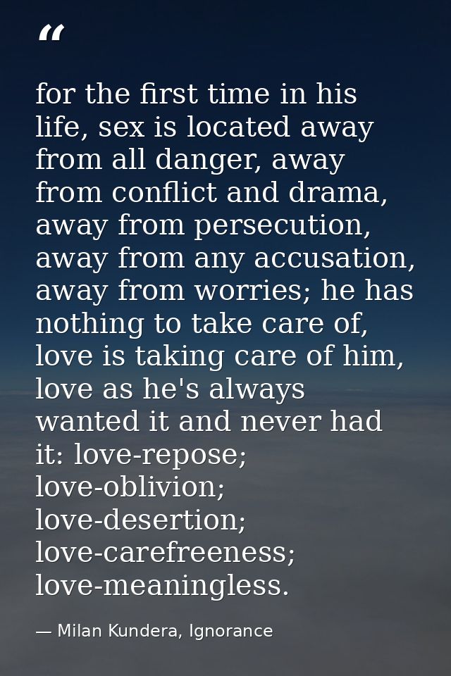 for the first time in his life, sex is located away from all danger, away from conflict and drama, away from persecution — Milan Kundera, Ignorance