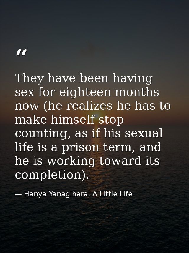 They have been having sex for eighteen months now (he realizes he has to make himself stop counting, as if his sexual li — Hanya Yanagihara, A Little Life