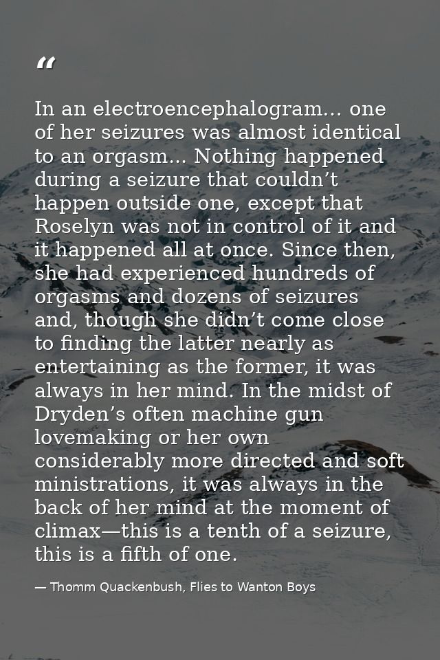 In an electroencephalogram… one of her seizures was almost identical to an orgasm... Nothing happened during a seizure t — Thomm Quackenbush, Flies to Wanton Boys
