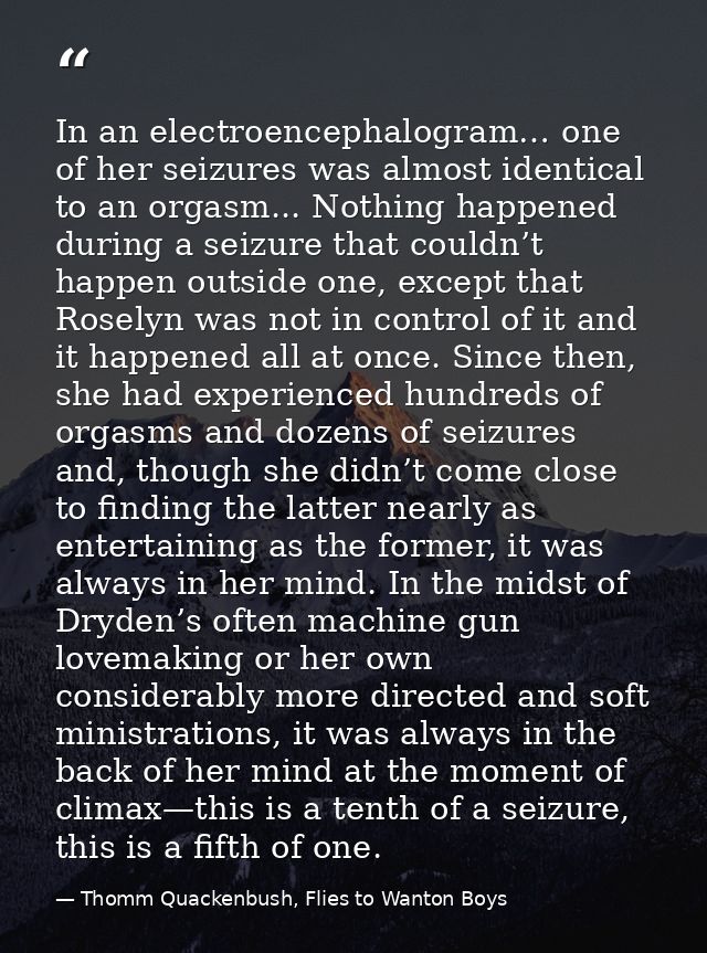 In an electroencephalogram… one of her seizures was almost identical to an orgasm... Nothing happened during a seizure t — Thomm Quackenbush, Flies to Wanton Boys