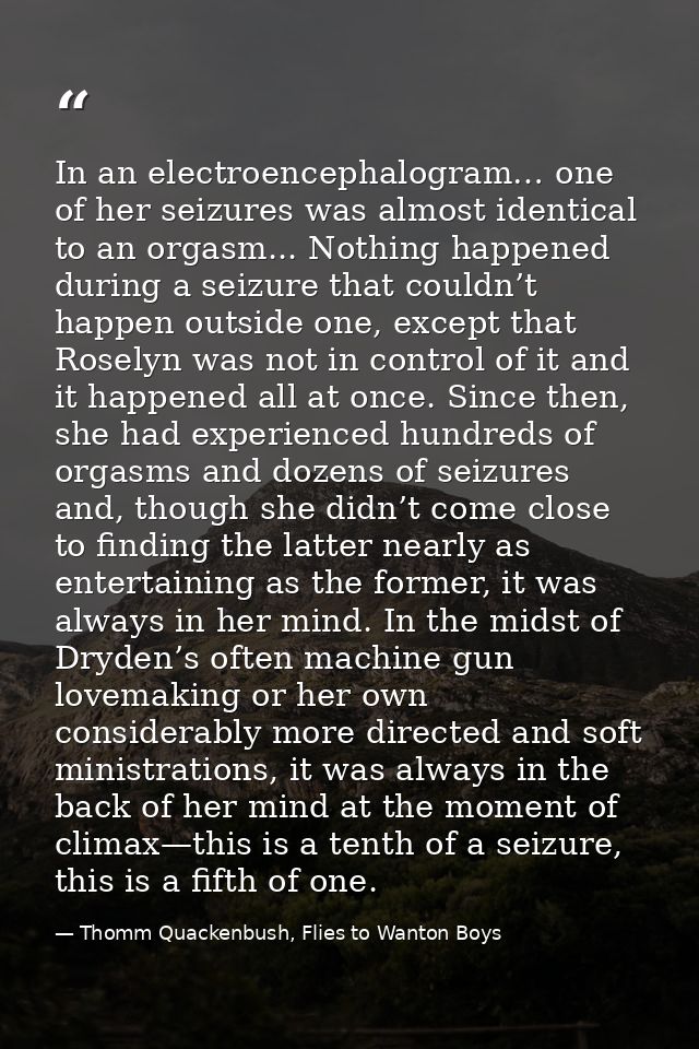 In an electroencephalogram… one of her seizures was almost identical to an orgasm... Nothing happened during a seizure t — Thomm Quackenbush, Flies to Wanton Boys
