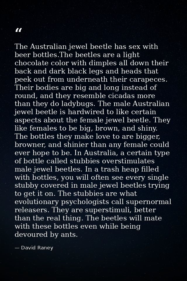 The Australian jewel beetle has sex with beer bottles.The beetles are a light chocolate color with dimples all down thei — David Raney