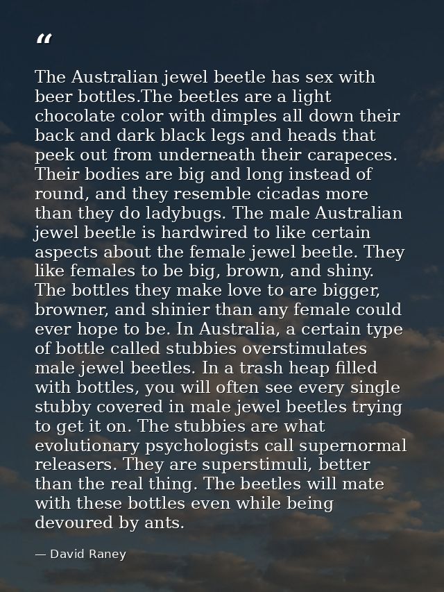 The Australian jewel beetle has sex with beer bottles.The beetles are a light chocolate color with dimples all down thei — David Raney