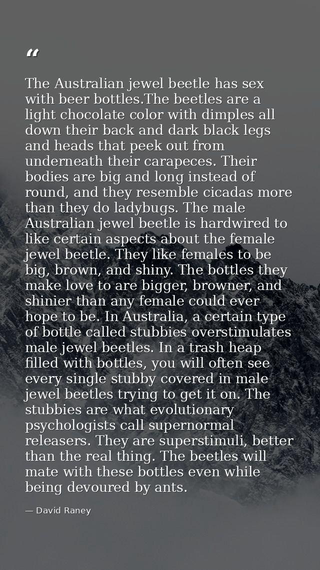 The Australian jewel beetle has sex with beer bottles.The beetles are a light chocolate color with dimples all down thei — David Raney