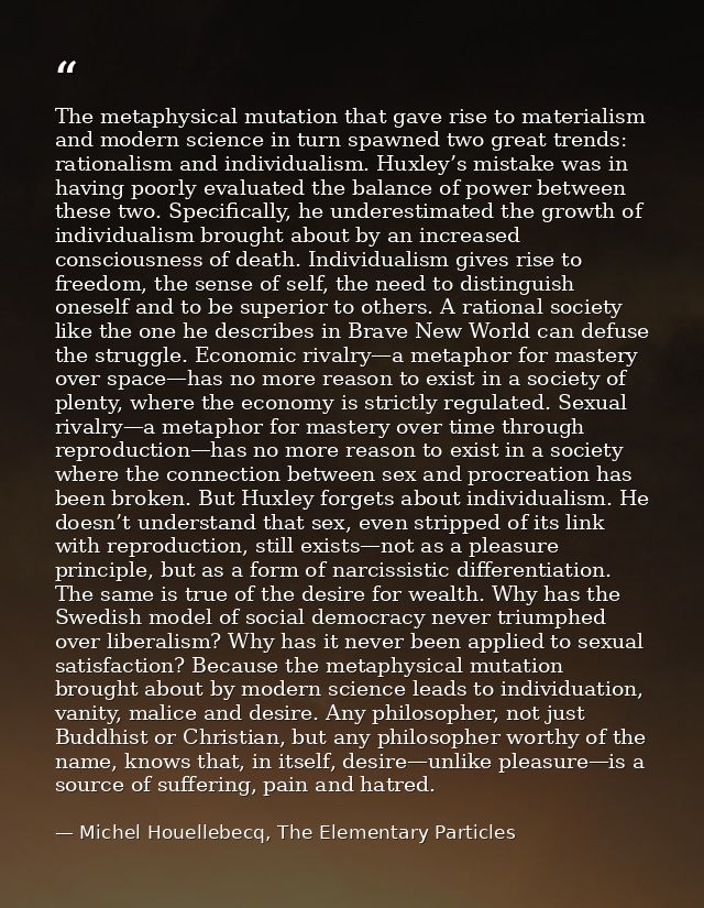 The metaphysical mutation that gave rise to materialism and modern science in turn spawned two great trends: rationalism — Michel Houellebecq, The Elementary Particles