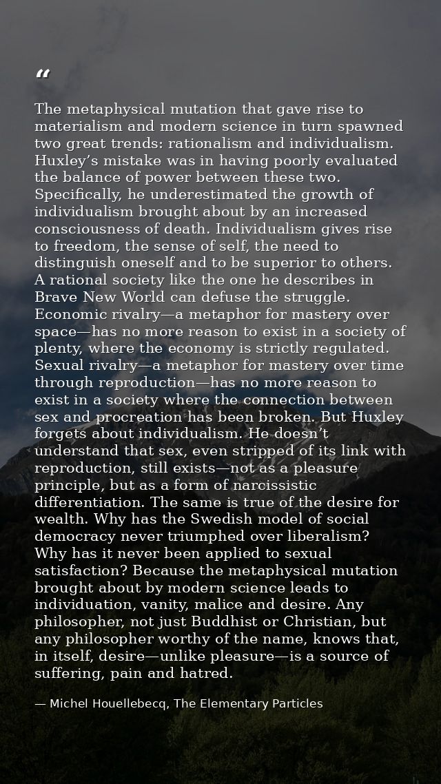The metaphysical mutation that gave rise to materialism and modern science in turn spawned two great trends: rationalism — Michel Houellebecq, The Elementary Particles