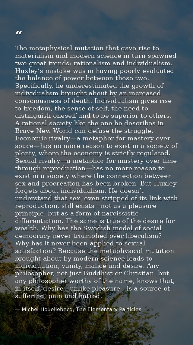 The metaphysical mutation that gave rise to materialism and modern science in turn spawned two great trends: rationalism — Michel Houellebecq, The Elementary Particles