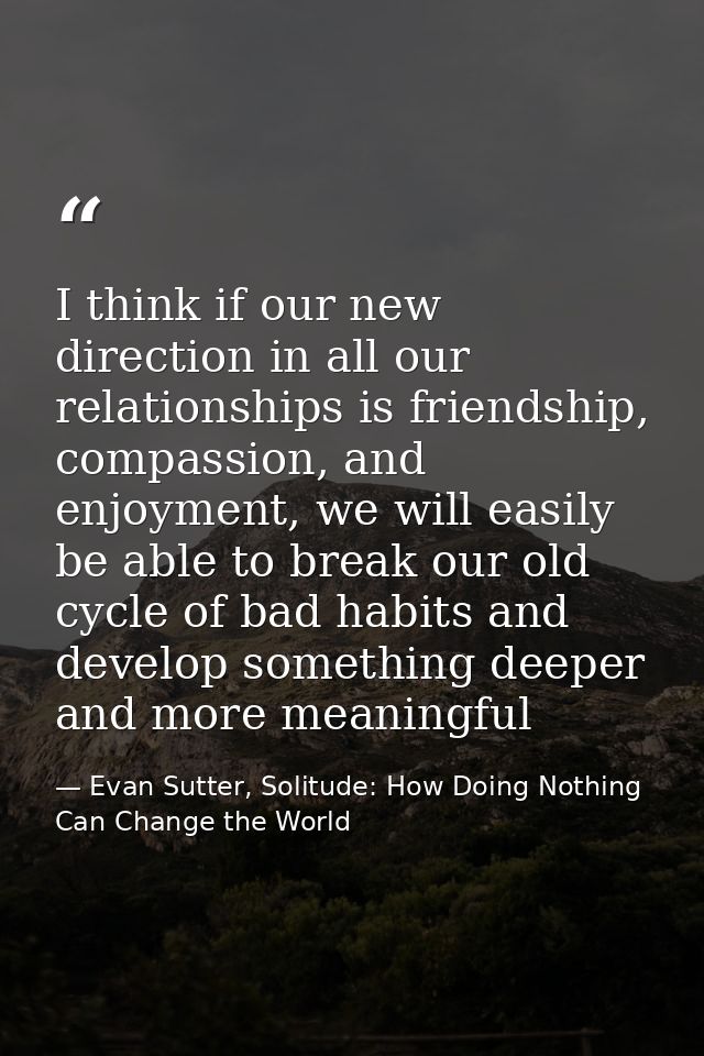 I think if our new direction in all our relationships is friendship, compassion, and enjoyment, we will easily be able t — Evan Sutter, Solitude: How Doing Nothing Can Change the World