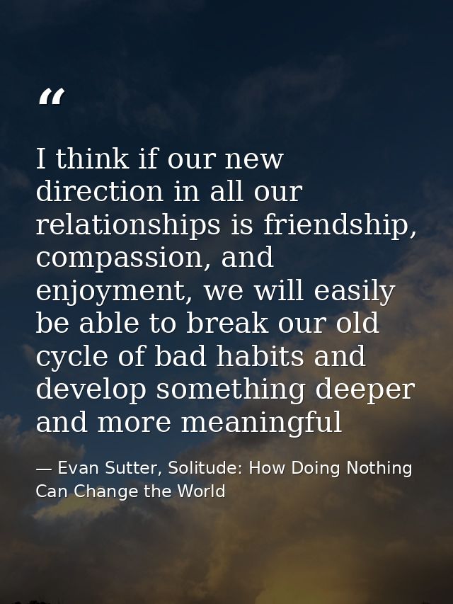 I think if our new direction in all our relationships is friendship, compassion, and enjoyment, we will easily be able t — Evan Sutter, Solitude: How Doing Nothing Can Change the World