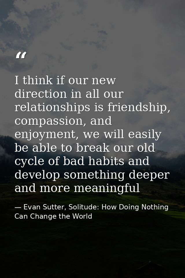 I think if our new direction in all our relationships is friendship, compassion, and enjoyment, we will easily be able t — Evan Sutter, Solitude: How Doing Nothing Can Change the World