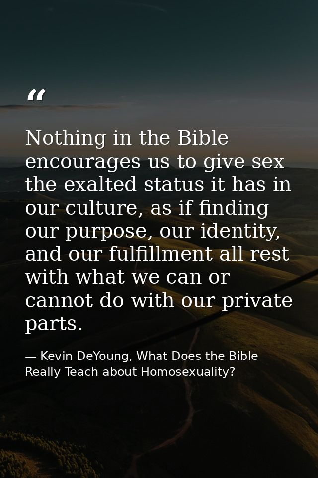 Nothing in the Bible encourages us to give sex the exalted status it has in our culture, as if finding our purpose, our  — Kevin DeYoung, What Does the Bible Really Teach about Homosexuality?