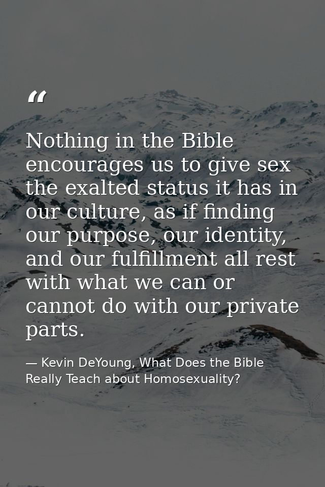 Nothing in the Bible encourages us to give sex the exalted status it has in our culture, as if finding our purpose, our  — Kevin DeYoung, What Does the Bible Really Teach about Homosexuality?