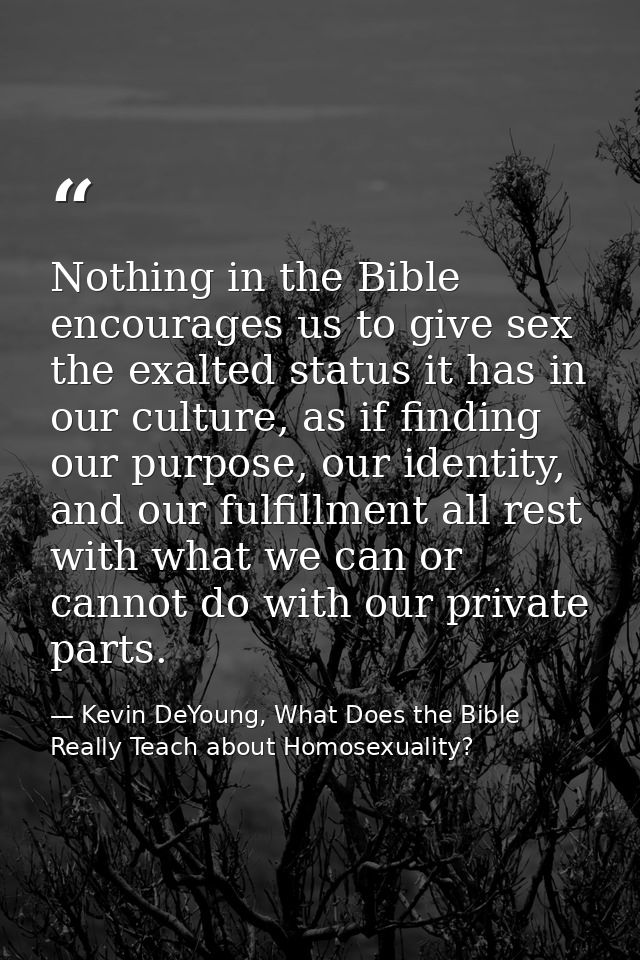 Nothing in the Bible encourages us to give sex the exalted status it has in our culture, as if finding our purpose, our  — Kevin DeYoung, What Does the Bible Really Teach about Homosexuality?