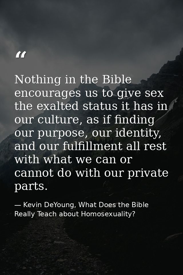 Nothing in the Bible encourages us to give sex the exalted status it has in our culture, as if finding our purpose, our  — Kevin DeYoung, What Does the Bible Really Teach about Homosexuality?