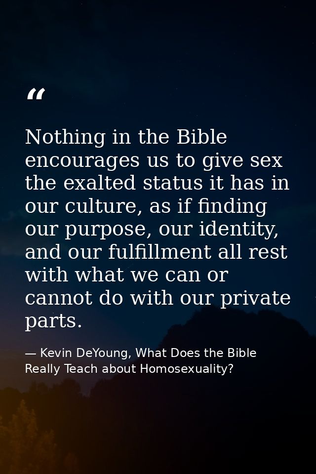 Nothing in the Bible encourages us to give sex the exalted status it has in our culture, as if finding our purpose, our  — Kevin DeYoung, What Does the Bible Really Teach about Homosexuality?