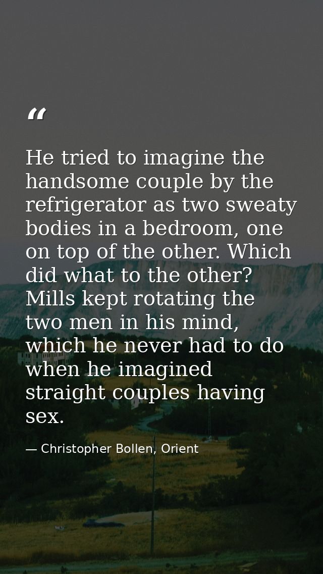 He tried to imagine the handsome couple by the refrigerator as two sweaty bodies in a bedroom, one on top of the other.  — Christopher Bollen, Orient