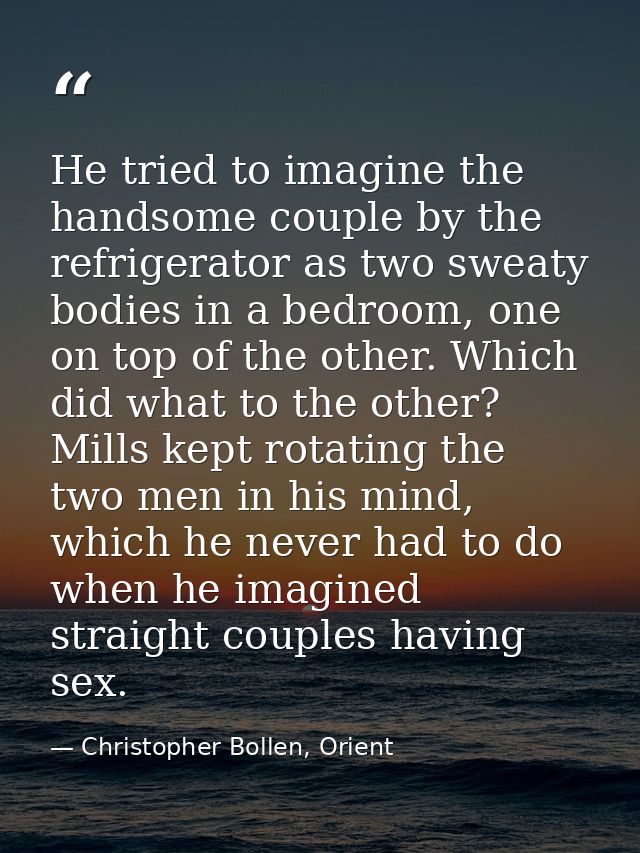 He tried to imagine the handsome couple by the refrigerator as two sweaty bodies in a bedroom, one on top of the other.  — Christopher Bollen, Orient