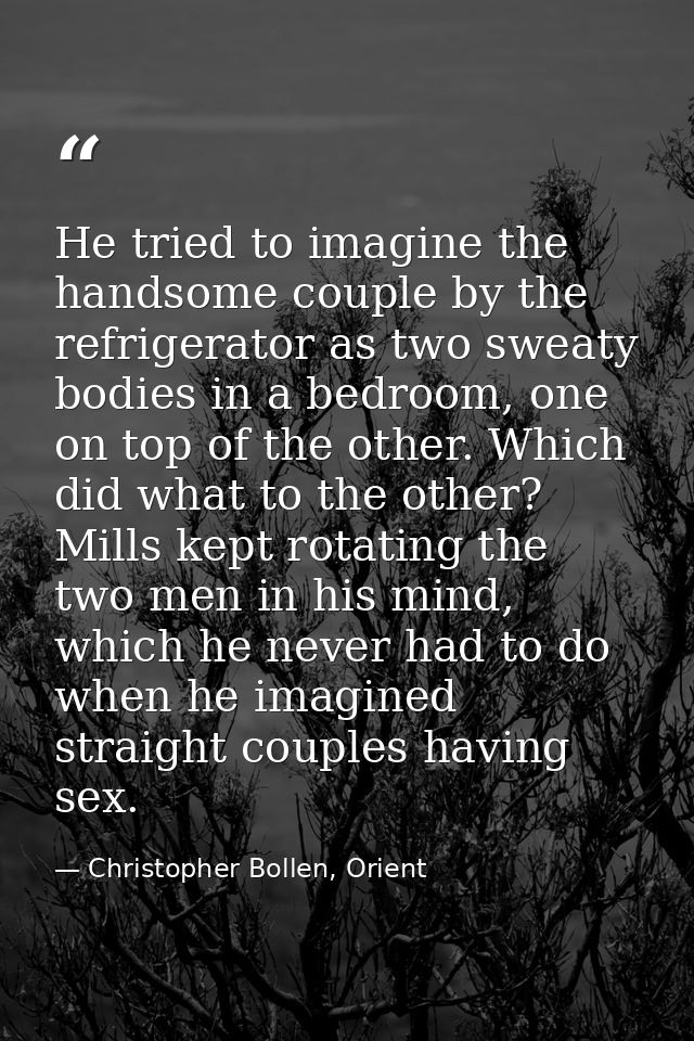 He tried to imagine the handsome couple by the refrigerator as two sweaty bodies in a bedroom, one on top of the other.  — Christopher Bollen, Orient