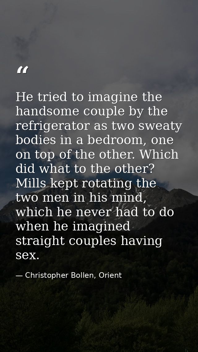 He tried to imagine the handsome couple by the refrigerator as two sweaty bodies in a bedroom, one on top of the other.  — Christopher Bollen, Orient