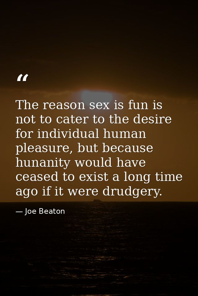 The reason sex is fun is not to cater to the desire for individual human pleasure, but because hunanity would have cease — Joe Beaton