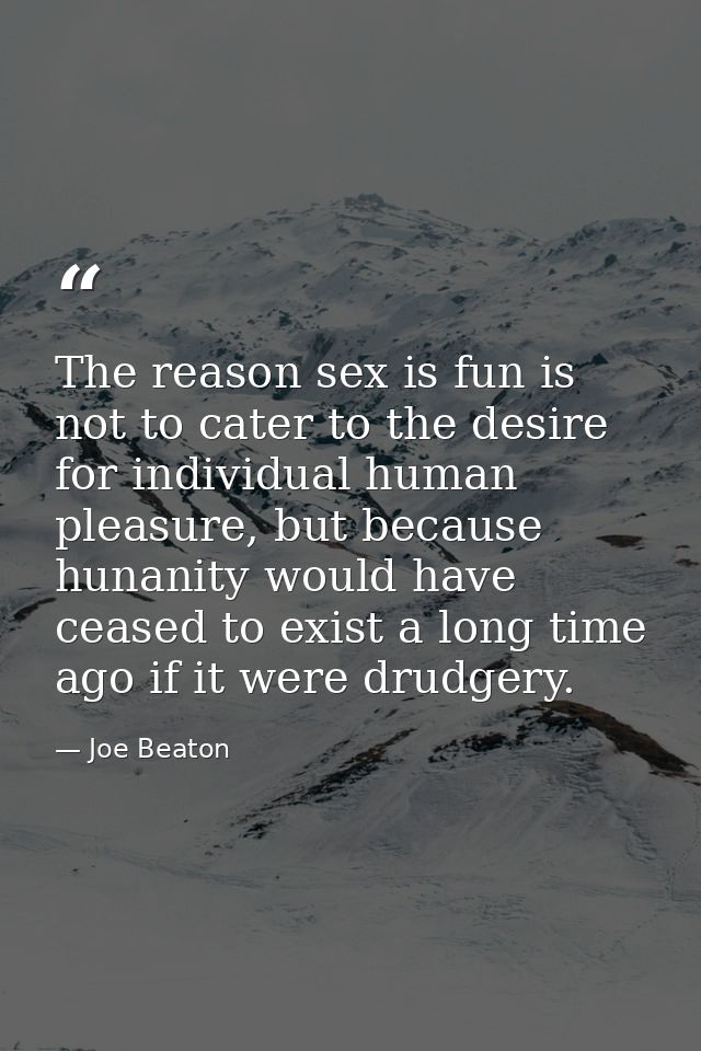 The reason sex is fun is not to cater to the desire for individual human pleasure, but because hunanity would have cease — Joe Beaton