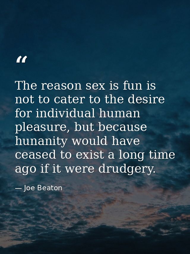 The reason sex is fun is not to cater to the desire for individual human pleasure, but because hunanity would have cease — Joe Beaton