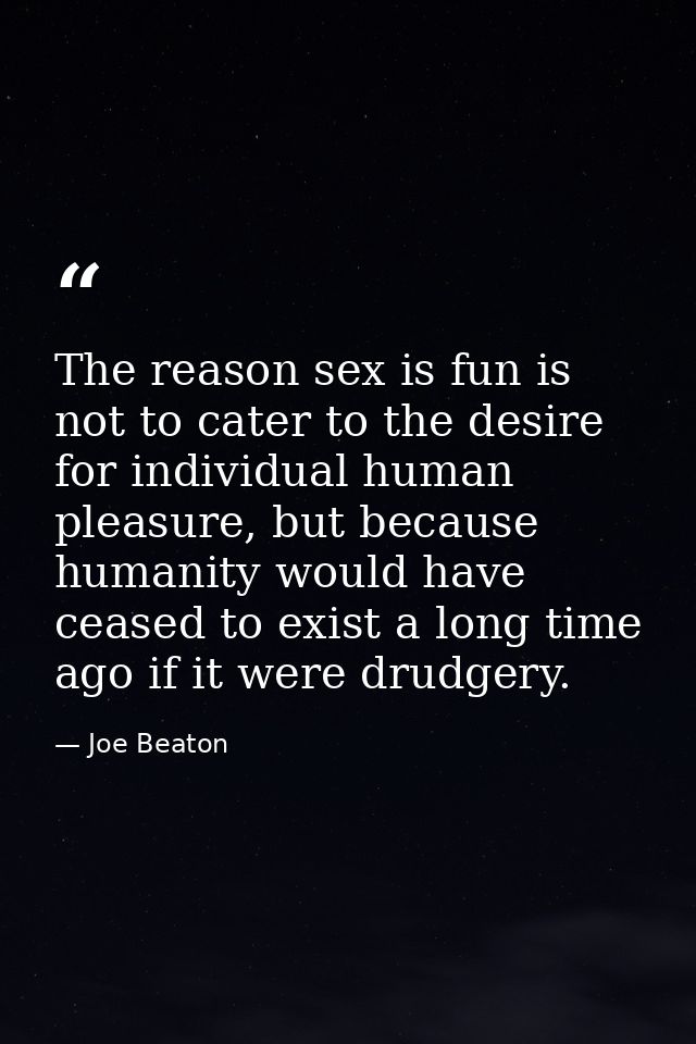 The reason sex is fun is not to cater to the desire for individual human pleasure, but because humanity would have cease — Joe Beaton