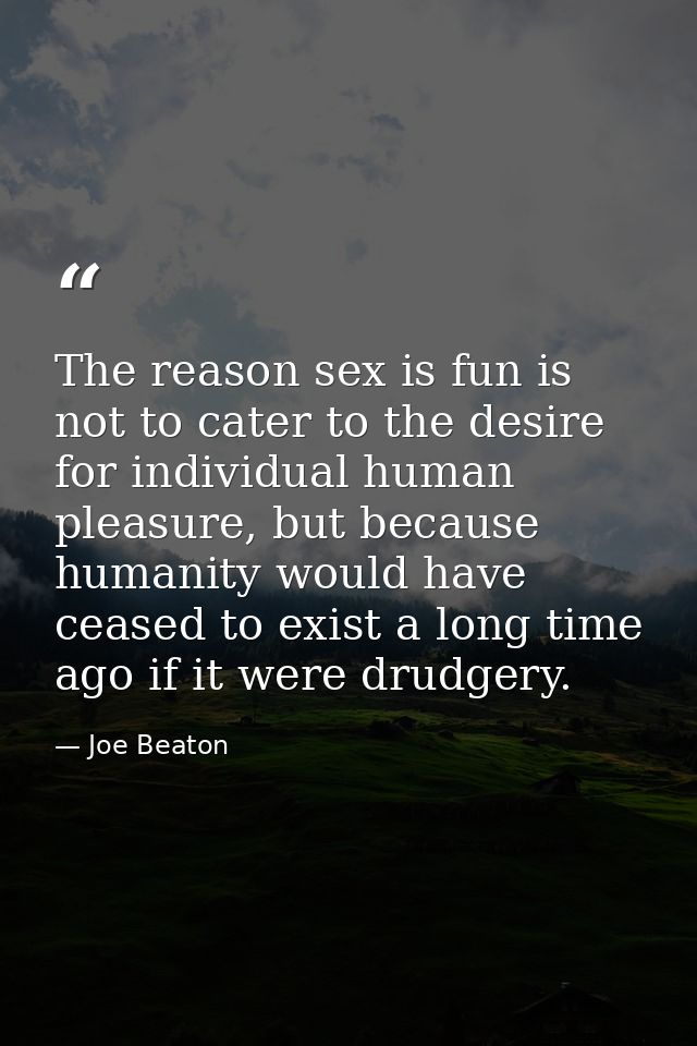 The reason sex is fun is not to cater to the desire for individual human pleasure, but because humanity would have cease — Joe Beaton